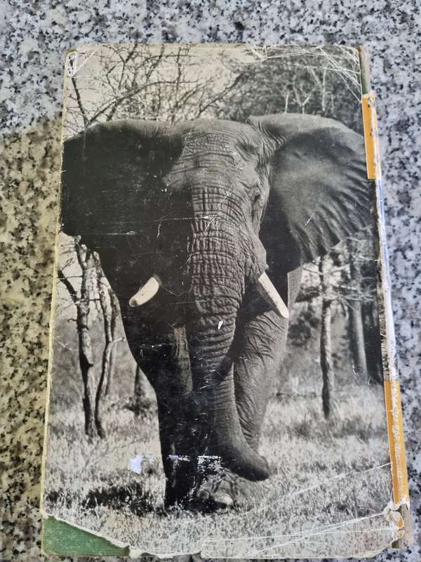 WILDLIFE IN SOUTH AFRICA J STEVENSON-HAMILTON Late Warden of the Kruger National Park 1954