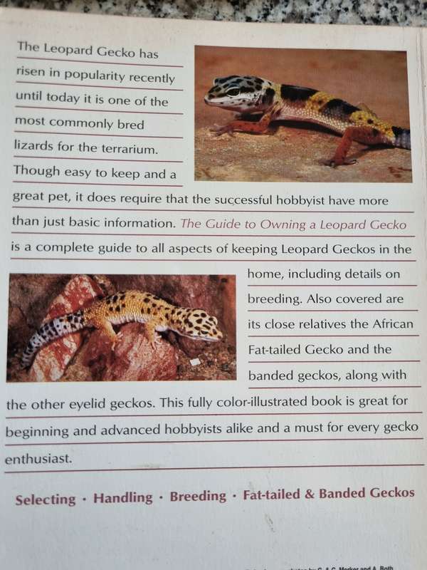 GUIDE TO OWNING A LEOPARD GECKO RAY HUNZIKER