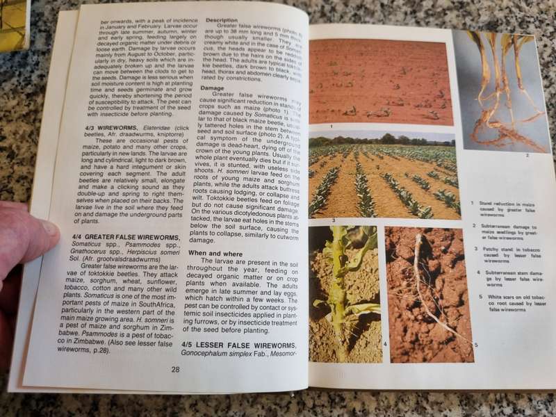CROP PESTS IN SOUTHERN AFRICA Volume 4 FIELD CROPS and PASTURES Bulletin 416 Ed. A C MYBURGH