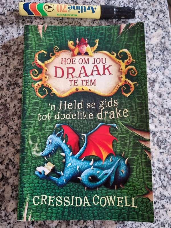 HOE OM JOU DRAAK TE TEM 'n HELD SE GIDS TOT DODELIKE DRAKE CRESSIDA COWELL AFRIKAANS SAGTEBAND