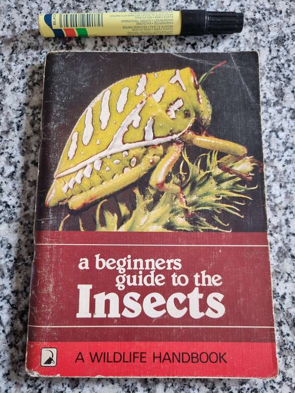 A BEGINNERS GUIDE TO THE INSECTS A WILDLIFE HANDBOOK entomology