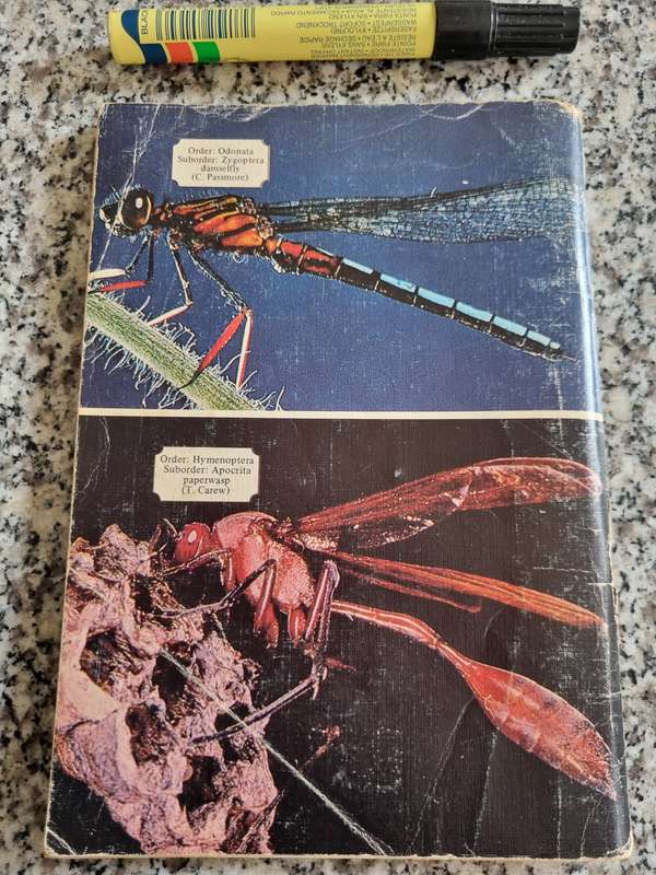 A BEGINNERS GUIDE TO THE INSECTS A WILDLIFE HANDBOOK entomology