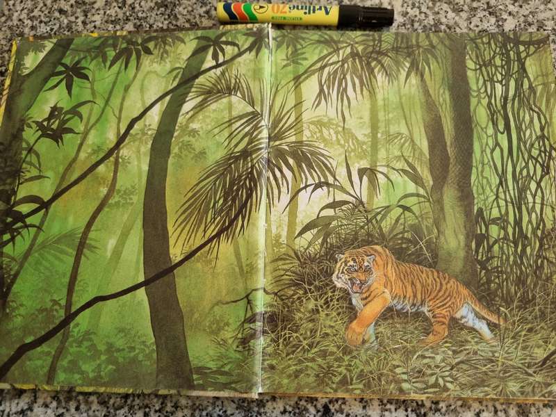 THE JUNGLE BOOK RUDYARD KIPLING Illustrated Eric Kincaird Brimax Books 1991