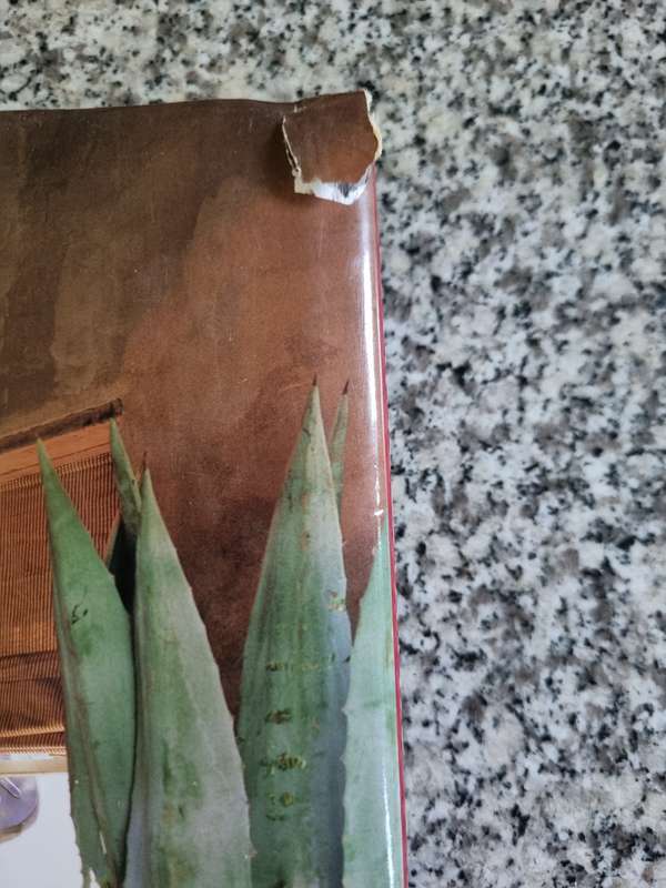 DOWN SOUTH TWO More Homes & Interiors South Africa PAUL DUNCAN INTERIOR DESIGN decorating furniture