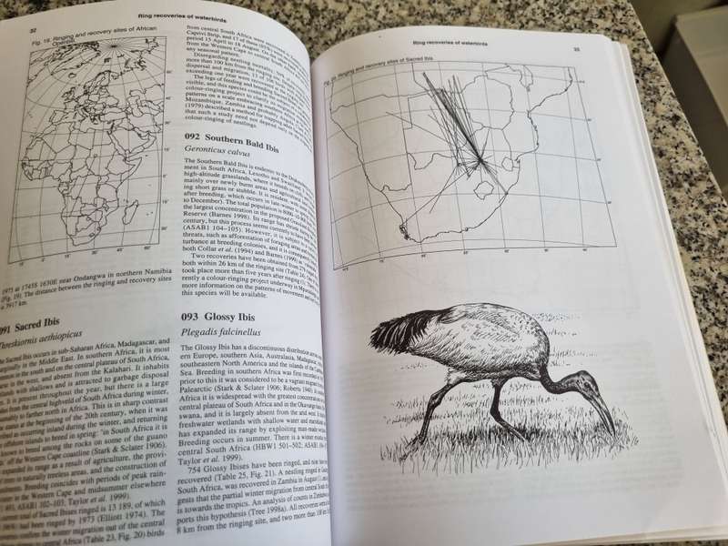 South Africa Standard Postage Review of ring recoveries of Waterbirds 1999 Chris van Rooyen birding