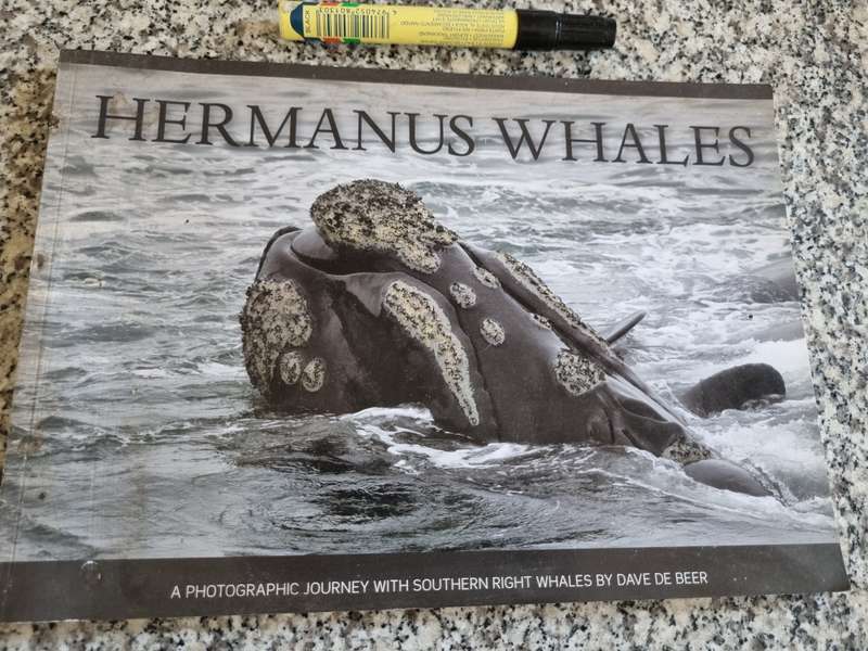 HERMANUS WHALES A Photographic Journey with Southern Right Whales SIGNED DAVE de BEER marine