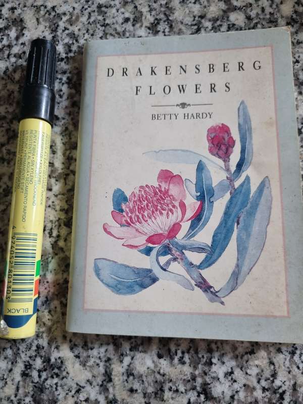 DRAKENSBERG FLOWERS BETTY HARDY  Pocket size  wild flowers KwaZulu Natal