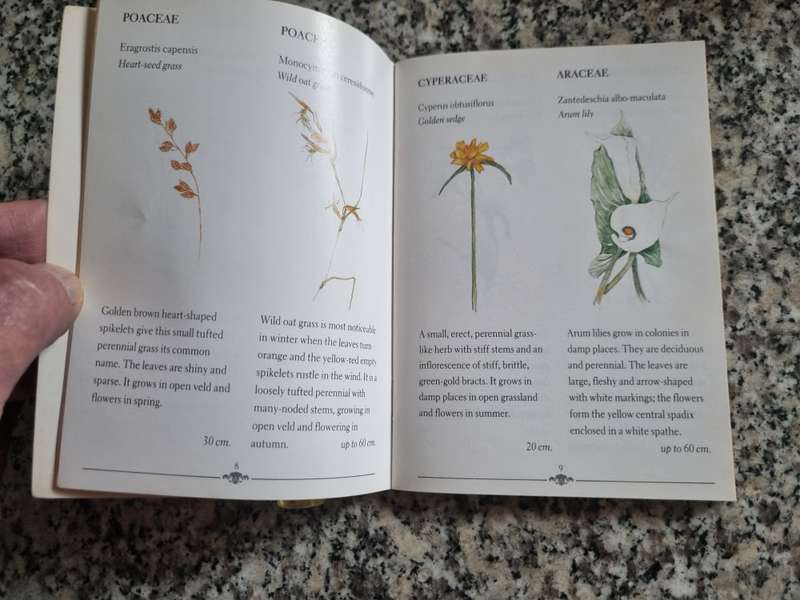 DRAKENSBERG FLOWERS BETTY HARDY  Pocket size  wild flowers KwaZulu Natal