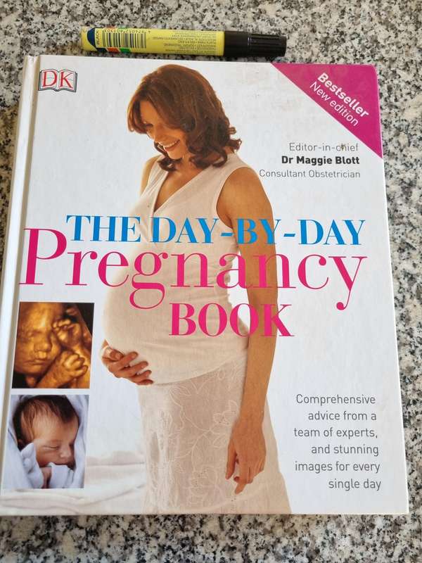 The Day by Day PREGNANCY Book Ed. Dr MAGGIE BLOTT A DK Book Revised Edition 2014