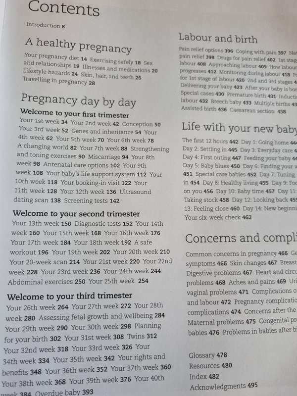 The Day by Day PREGNANCY Book Ed. Dr MAGGIE BLOTT A DK Book Revised Edition 2014