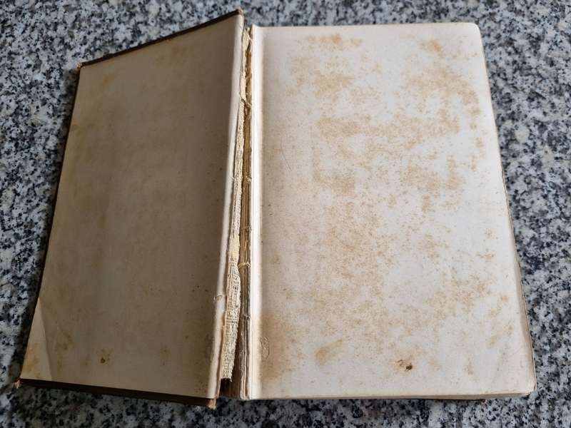 MRS BEETON'S EVERY DAY COOKERY New Edition with coloured plates and other illustrations 1909 cooking