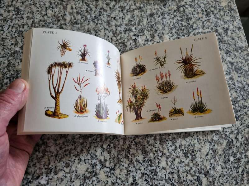 WHAT ALOE IS THAT ? ERIC JUDD ( a pocket size book )