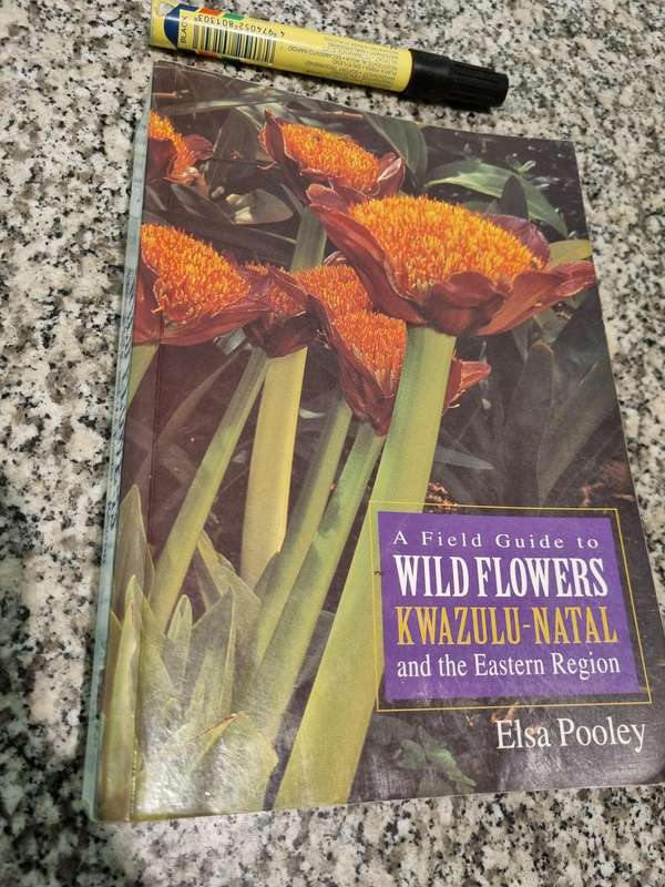 A FIELD GUIDE TO WILD FLOWERS KWAZULU NATAL & the Eastern Region ELSA POOLEY  wildflowers Softcover
