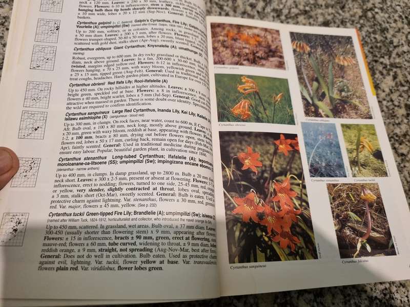 A FIELD GUIDE TO WILD FLOWERS KWAZULU NATAL & the Eastern Region ELSA POOLEY  wildflowers Softcover