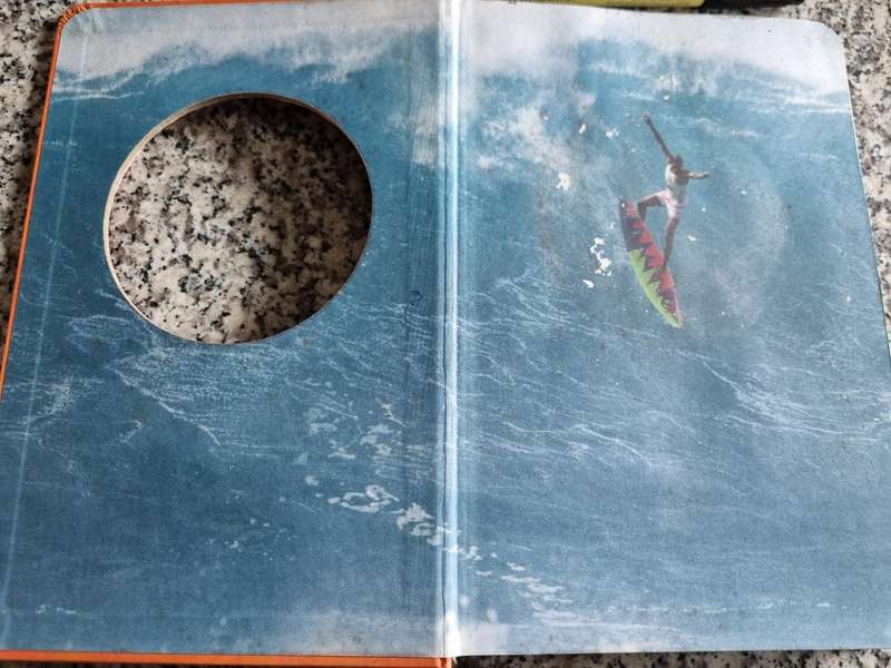 SURFER'S CODE 12 SIMPLE LESSONS for RIDING THROUGH LIFE SHAUN TOMPSON with Patrick Moser ( surfing )