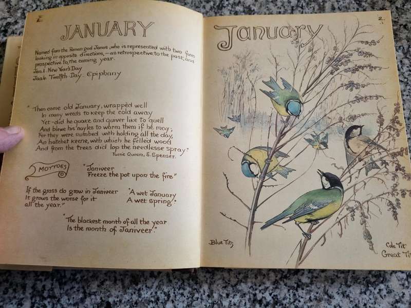 THE COUNTRY DIARY OF AN EDWARDIAN LADY EDITH HOLDEN