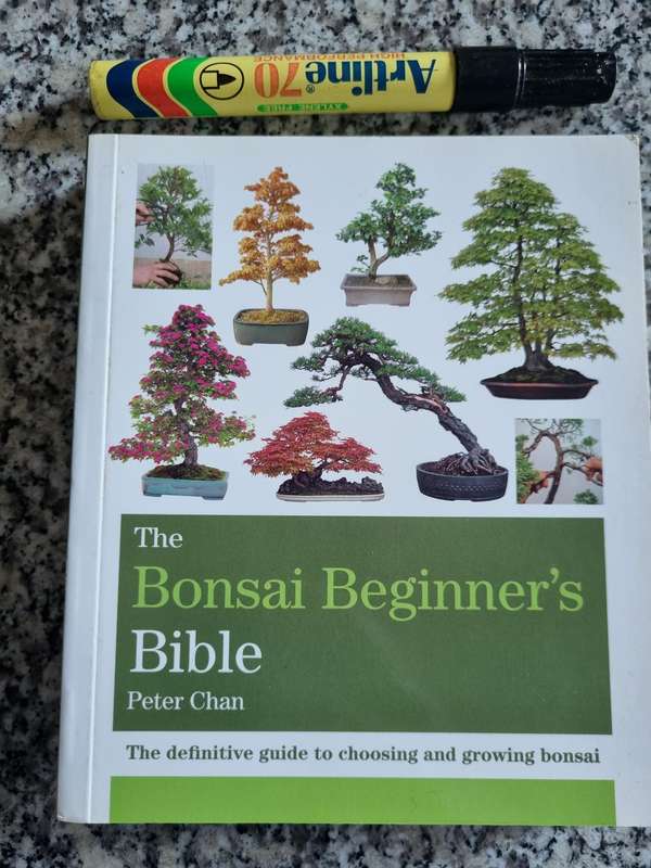 THE BONSAI BEGINNER'S BIBLE PETER CHAN The definitive guide to choosing and growing bonsai