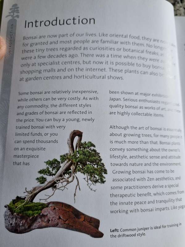 THE BONSAI BEGINNER'S BIBLE PETER CHAN The definitive guide to choosing and growing bonsai