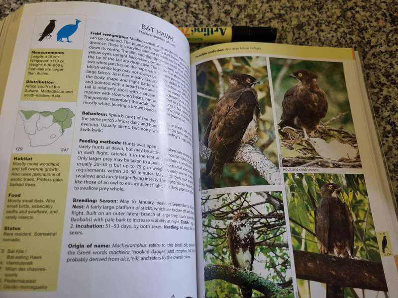 THE RAPTOR GUIDE OF SOUTHERN AFRICA ULRICH OBERPRIELER BURGER CILLIE Birds of Prey