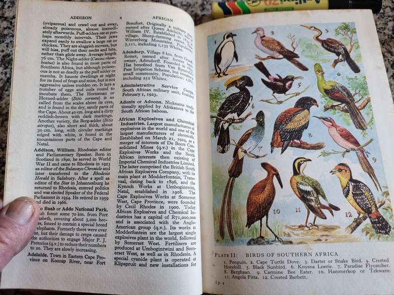 ERIC ROSENTHAL ENCYCLOPAEDIA OF SOUTHERN AFRICA in 2 Volumes 6th Edition 1973
