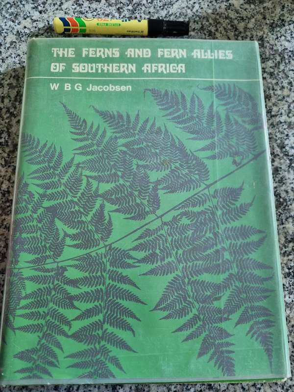 The FERNS and FERN ALLIES OF SOUTHERN AFRICA W B G JACOBSON (  botany non flowering plants flora )