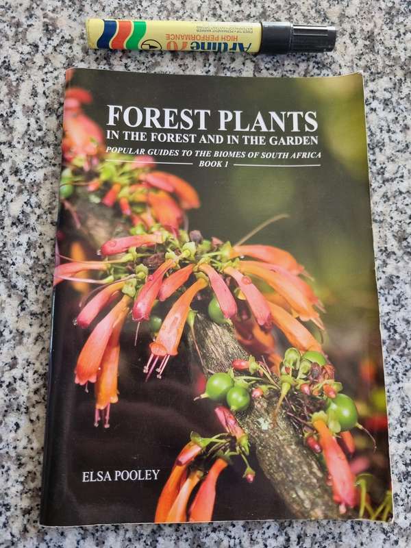 ELSA POOLEY FOREST PLANTS IN THE Forest & in the Gardens Popular Guides Biomes of SOUTH AFRICA