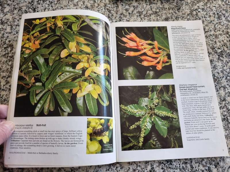 ELSA POOLEY FOREST PLANTS IN THE Forest & in the Gardens Popular Guides Biomes of SOUTH AFRICA