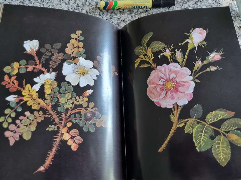 MRS DELANY and her FLOWER COLLAGES RUTH HAYDEN ( EMBROIDERY Decorative work artist 18th century