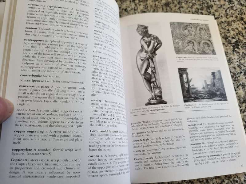 THE THAMES AND HUDSON DICTIONARY OF ART TERMS ( 208 pages )