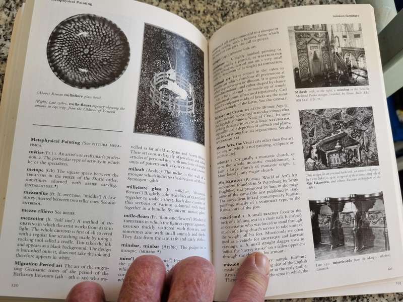 THE THAMES AND HUDSON DICTIONARY OF ART TERMS ( 208 pages )
