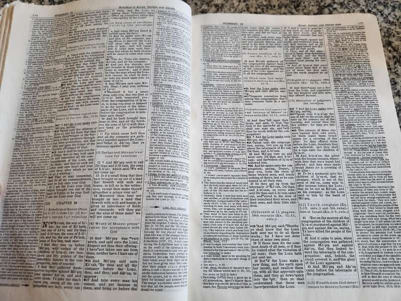 Dake's Annotated Reference Bible The Holy Bible containing Old and New Testaments King James ( Dakes