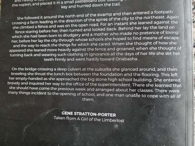 A GIRL OF THE LINDERLOST GENE STRATTON PORTER ( Stratton-Porter )