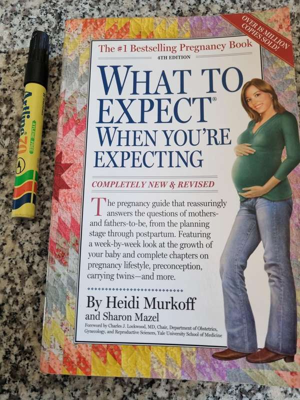 WHAT TO EXPECT WHEN YOU'RE EXPECTING by HEIDI MURKOFF 4th Ed. Completely Revised ( Pregnancy )