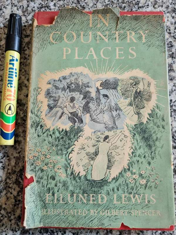 IN COUNTRY PLACES by EILUNED LEWIS