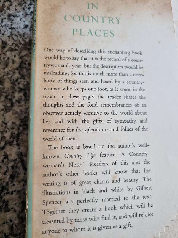 IN COUNTRY PLACES by EILUNED LEWIS