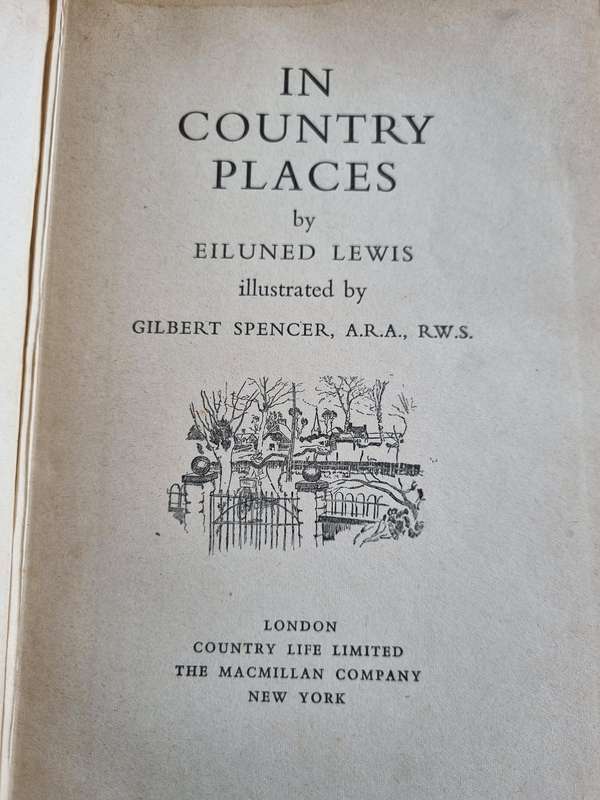 IN COUNTRY PLACES by EILUNED LEWIS