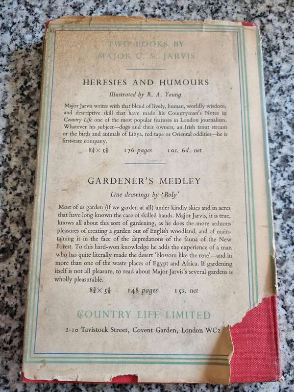 IN COUNTRY PLACES by EILUNED LEWIS