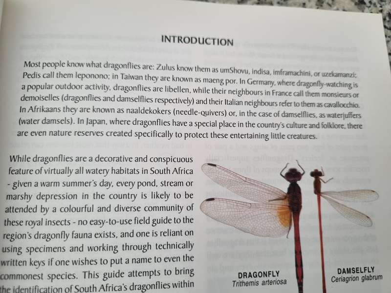 A FIELD GUIDE TO THE DRAGONFLIES OF SOUTH AFRICA WARWICK & MICHELE TARBOTON