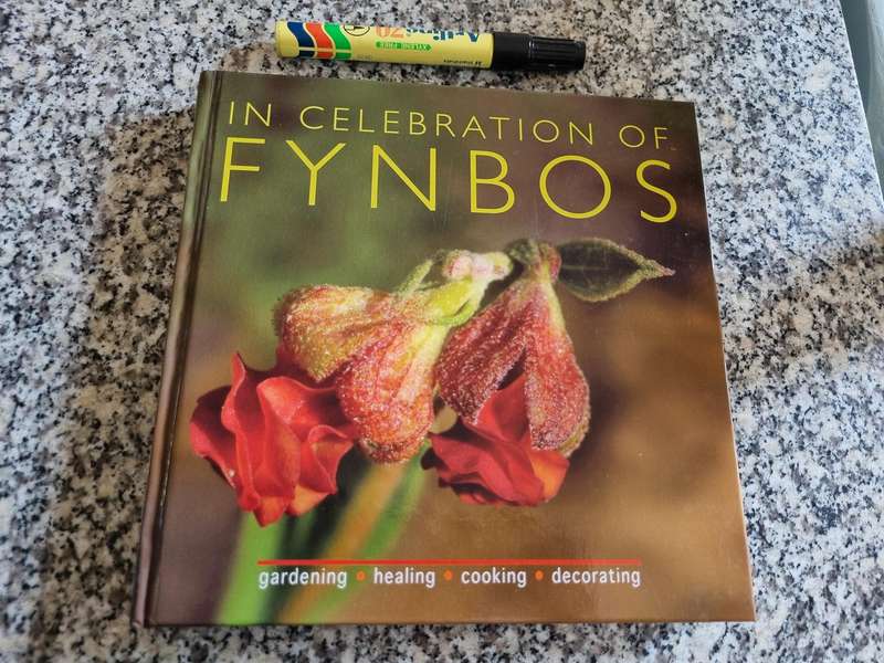 IN CELEBRATION OF FYNBOS P VANDECASTEELE Gardening Healing Cooking Decorating (incl Ericas & Proteas
