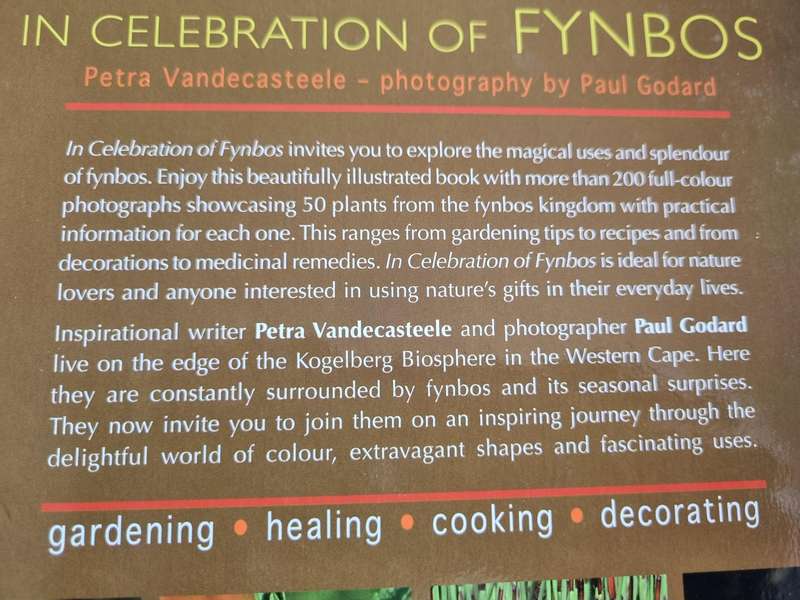 IN CELEBRATION OF FYNBOS P VANDECASTEELE Gardening Healing Cooking Decorating (incl Ericas & Proteas