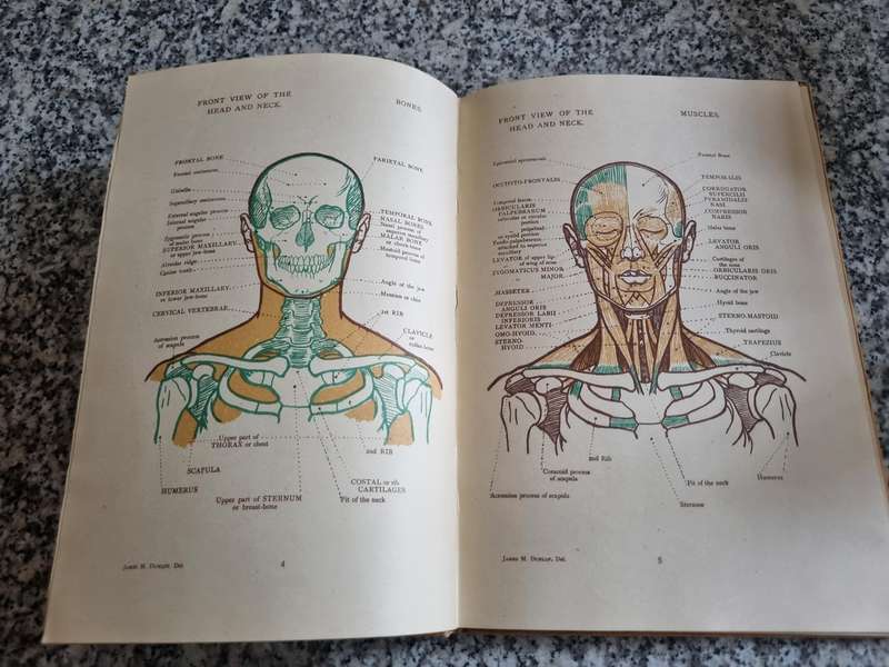 ANATOMICAL DIAGRAMS for the use of ART STUDENTS JAMES M DUNLOP A.R.C.A.