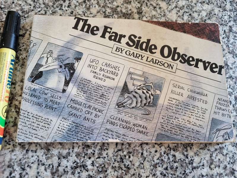 THE FAR SIDE OBSERVER BY GARY LARSON ( Far Side Gallery Comics )