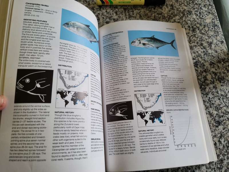 A GUIDE TO THE COMMON SEA FISHES OF SOUTHERN AFRICA RUDY VAN DER ELST Revised Edition