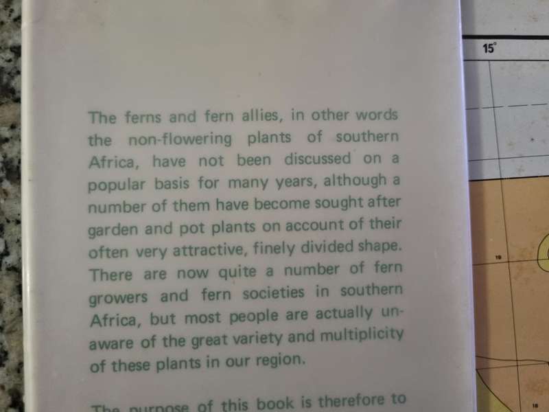 The FERNS and FERN ALLIES OF SOUTHERN AFRICA W B G JACOBSON (  botany non flowering plants flora )