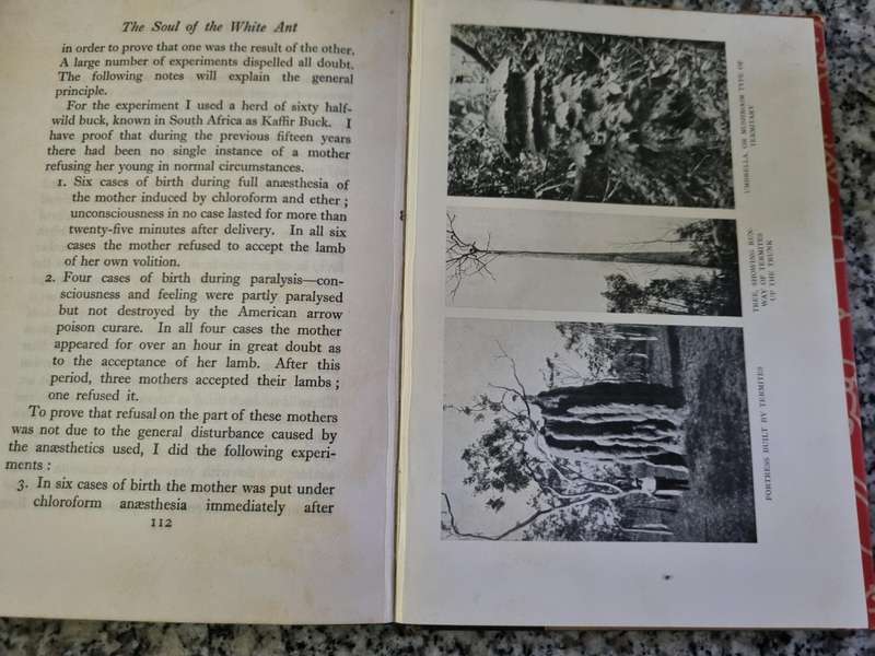 THE SOUL OF THE WHITE ANT EUGENE N MARAIS with a Biographical note by his Son