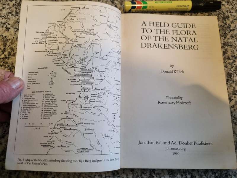 A FIELD GUIDE The FLORA of the NATAL DRAKENSBERG  DONALD KILLICK (  wild flowers KwaZulu Natal