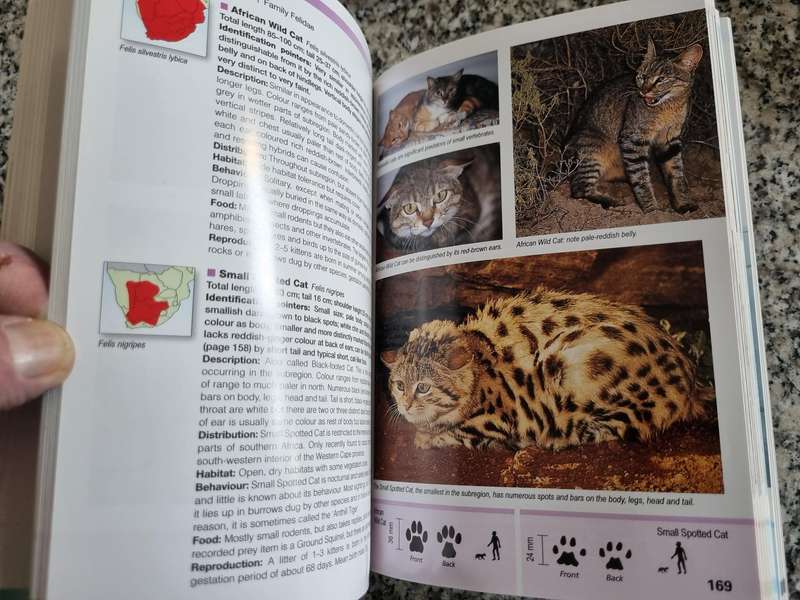 FIELD GUIDE TO THE MAMMALS OF SOUTHERN AFRICA CHRIS & TILDE STUART (  wildlife )