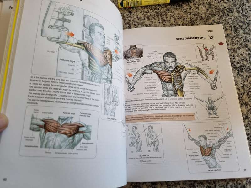 STRENGTH TRAINING ANATOMY FREDERIC DELAVIER  Second Edition ( Fitness Body Muscle Building )