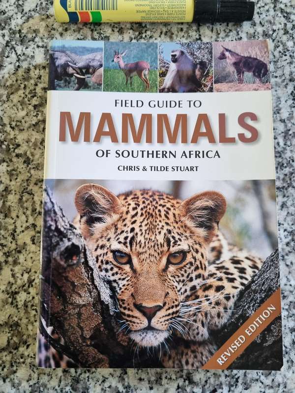 FIELD GUIDE TO THE MAMMALS OF SOUTHERN AFRICA CHRIS & TILDE STUART (  wildlife )