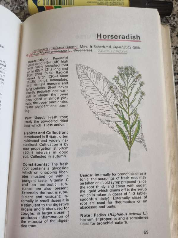 MEDICINAL PLANTS Prof. HANS FLUCK Translated by Prof. J M ROWSON 1976 please note the description